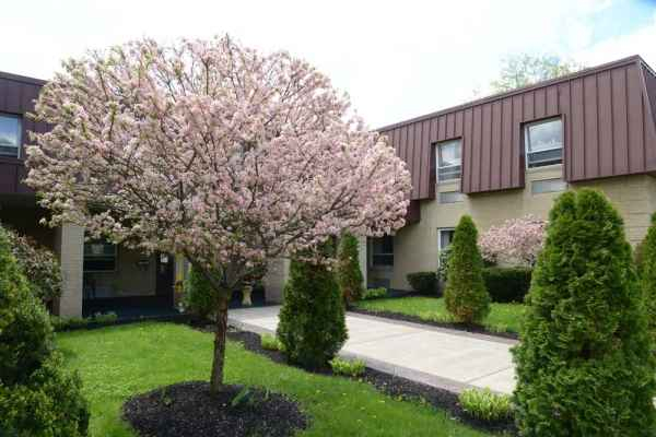 Absolut Care Salamanca In Salamanca NY Reviews Complaints Pricing
